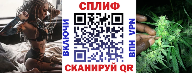 Канабис конопля  Злынка 